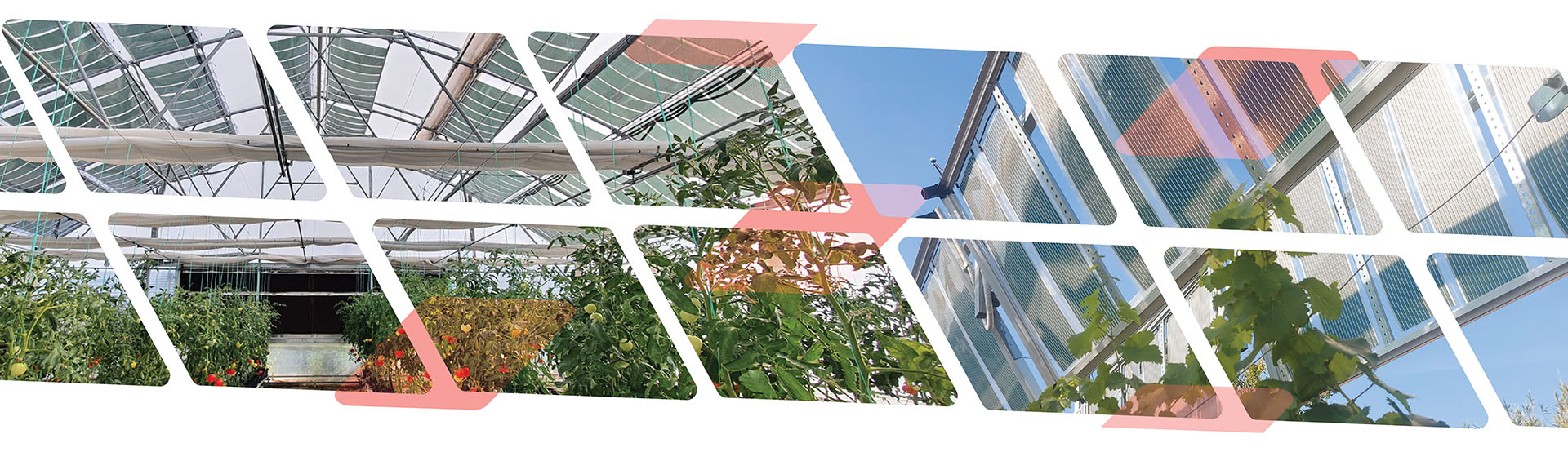 home-banner